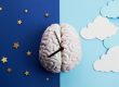 A brain with clock hands attached. Left of background represents night, right day time.