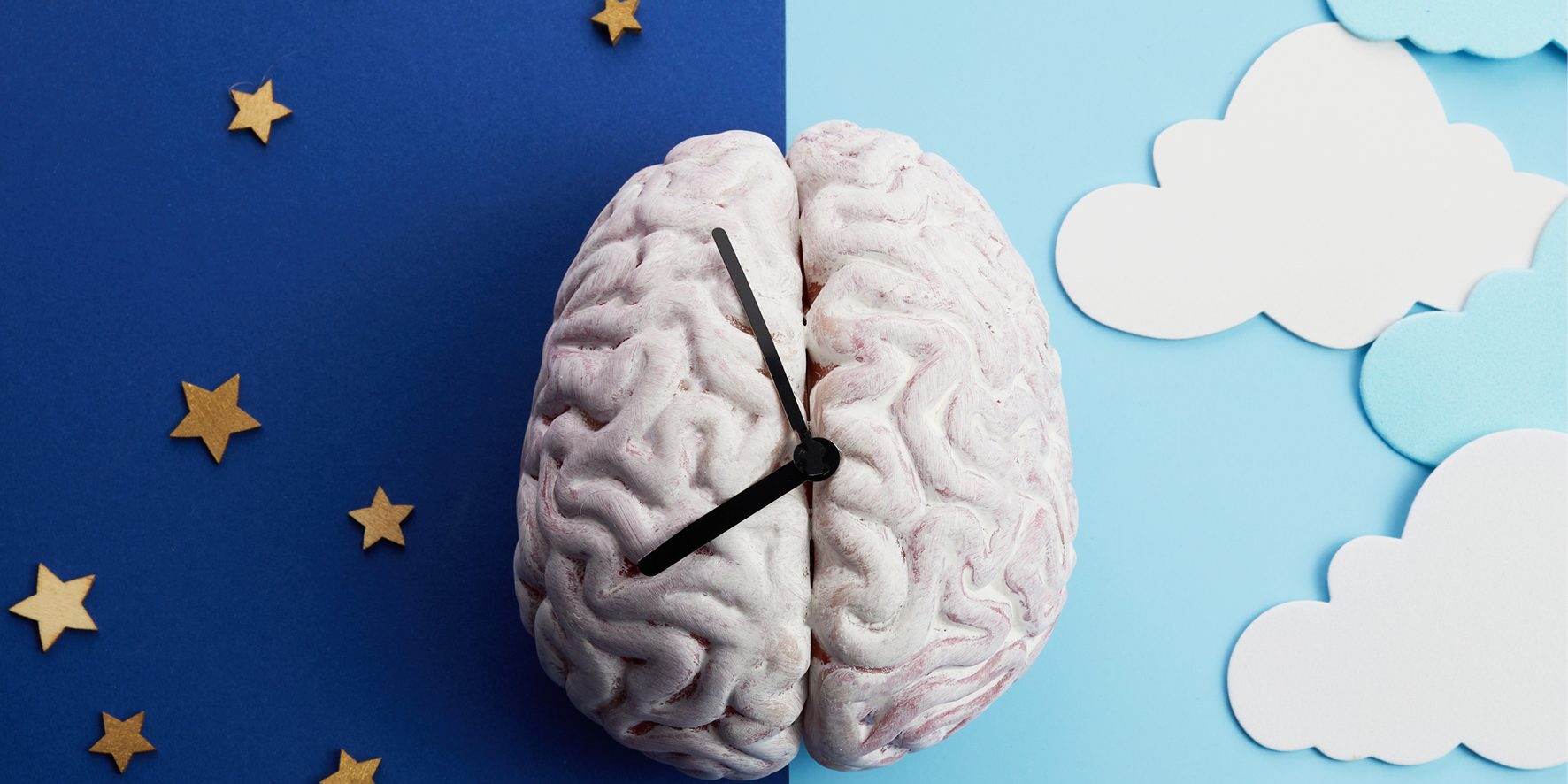 Circadian Day-Night A brain with clock hands attached. Left of background represents night, right day time.