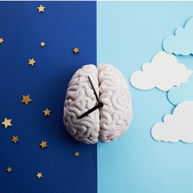 A brain with clock hands attached. Left of background represents night, right day time.