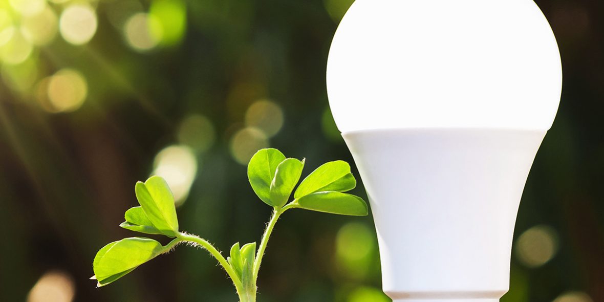 Light-in-Soil